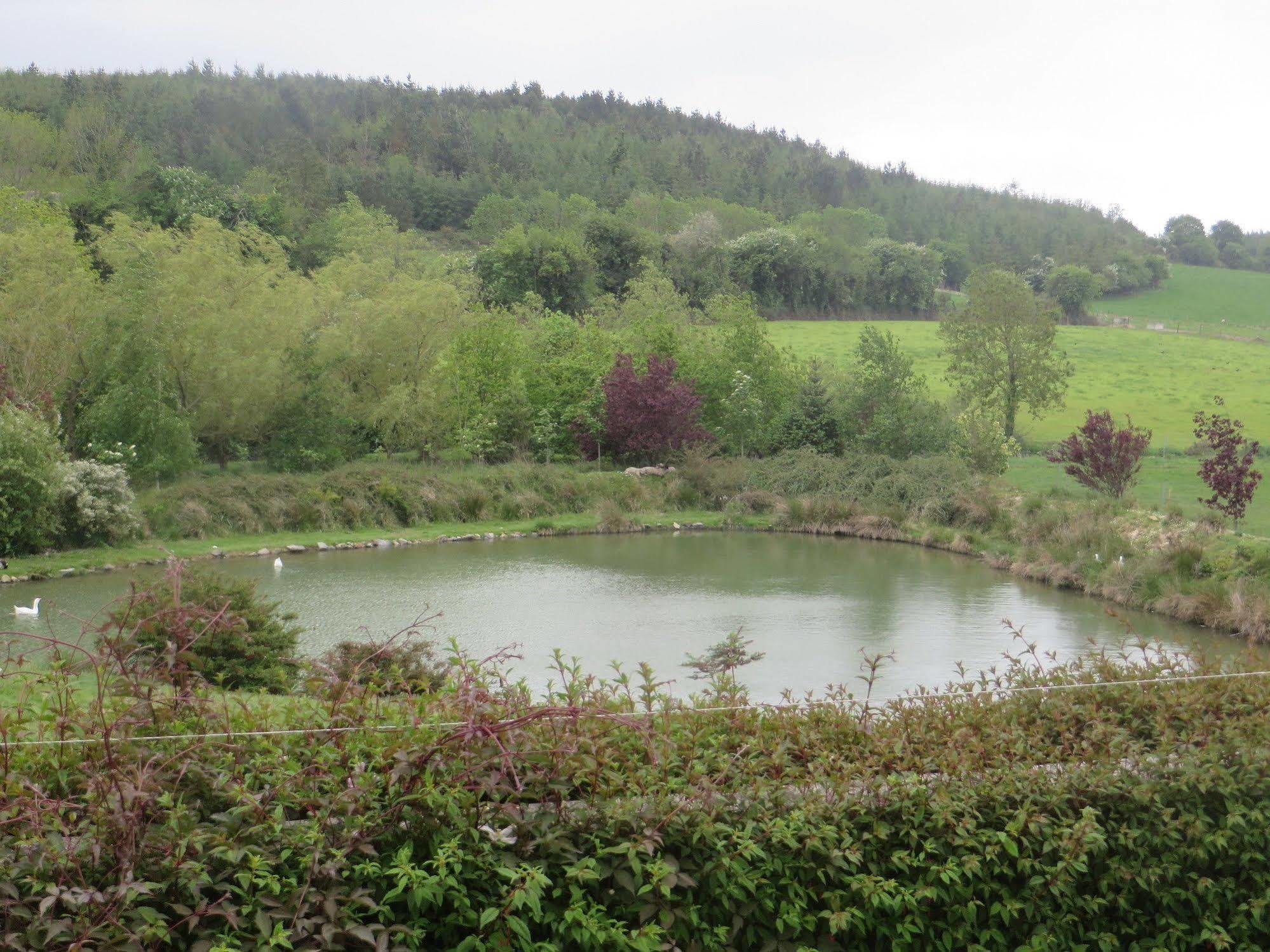 Dawn House B&B Kilmeaden Luaran gambar